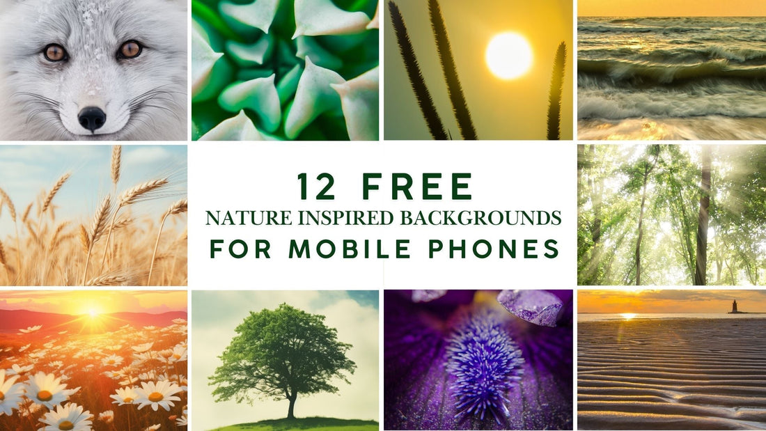 Art & Nature: A Moment of Peace 12 Free Downloadable Mobile Backgrounds