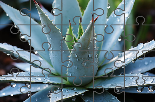 Online Puzzles: A Reminder of Beauty Botanical Rustic Photorealistic Digital Artwork