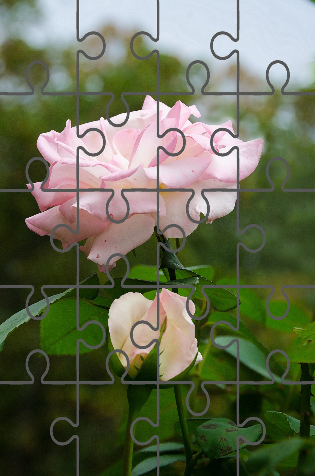 Admiration Floral Photo Digital Puzzle