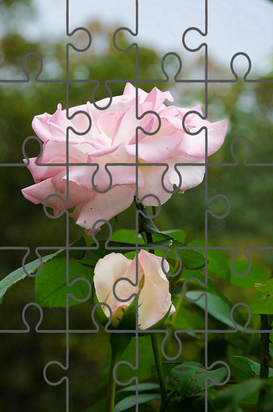 Admiration Floral Photo Digital Puzzle