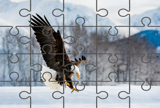 Adult Bald Eagle and Alaskan Winter Wildlife Photo Digital Puzzle