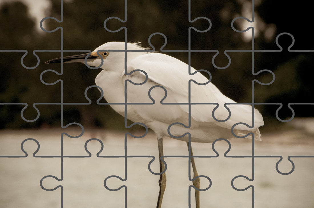 Aged and Colorized Snowy Egret on Pillar Wildlife Photo Digital Puzzle