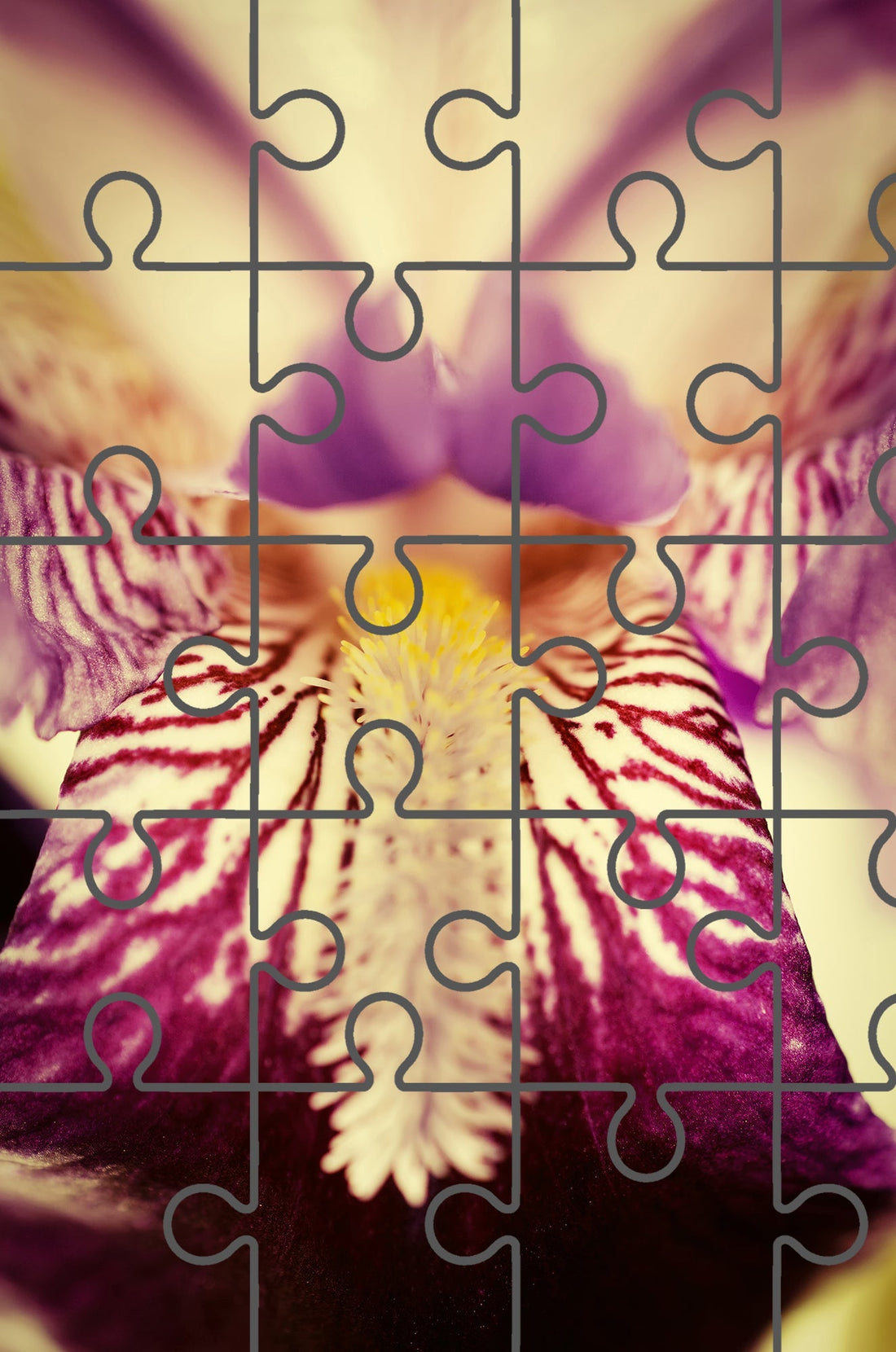 Antiqued Iris Floral Nature Photograph Digital Jigsaw Puzzle