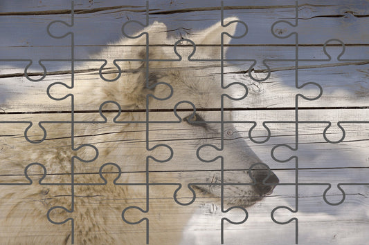 Aries the White Wolf Portrait Faux Weathered Wood Wildlife Photograph Digital Jigsaw Puzzle