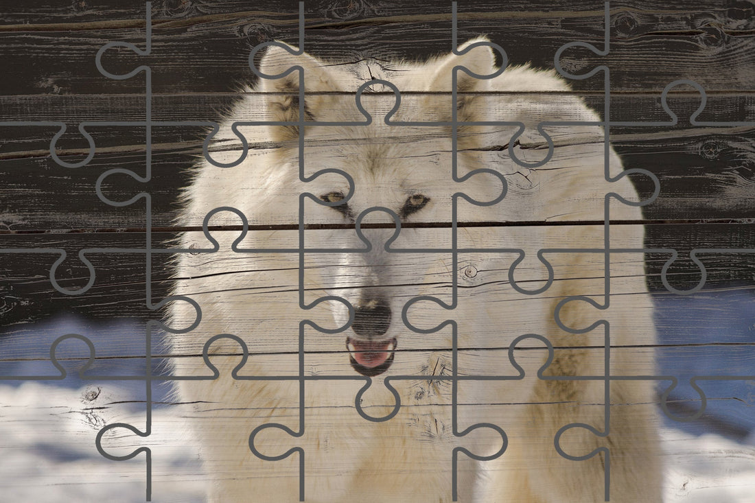 Aries the White Wolf 2 Faux Wood Wildlife Photograph Digital Jigsaw Puzzle