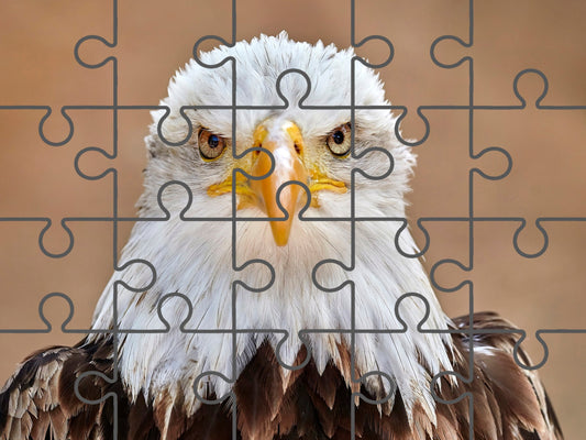 Bald Eagle Portrait Close-up 2 Wildlife Photograph Digital Jigsaw Puzzle