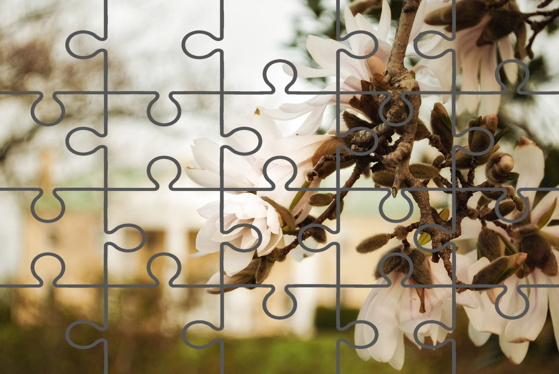 Bellevue Mansion Floral Photograph Digital Jigsaw Puzzle