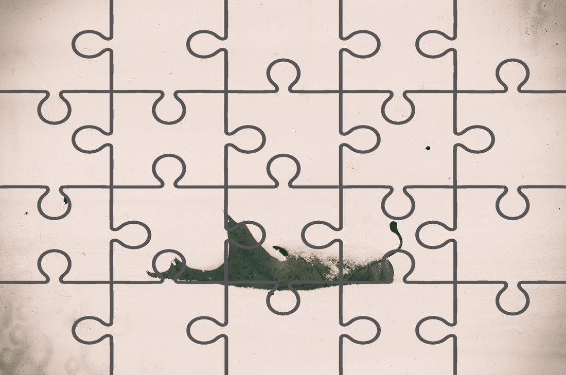 Bleak Winter Botanical Photograph Digital Jigsaw Puzzle