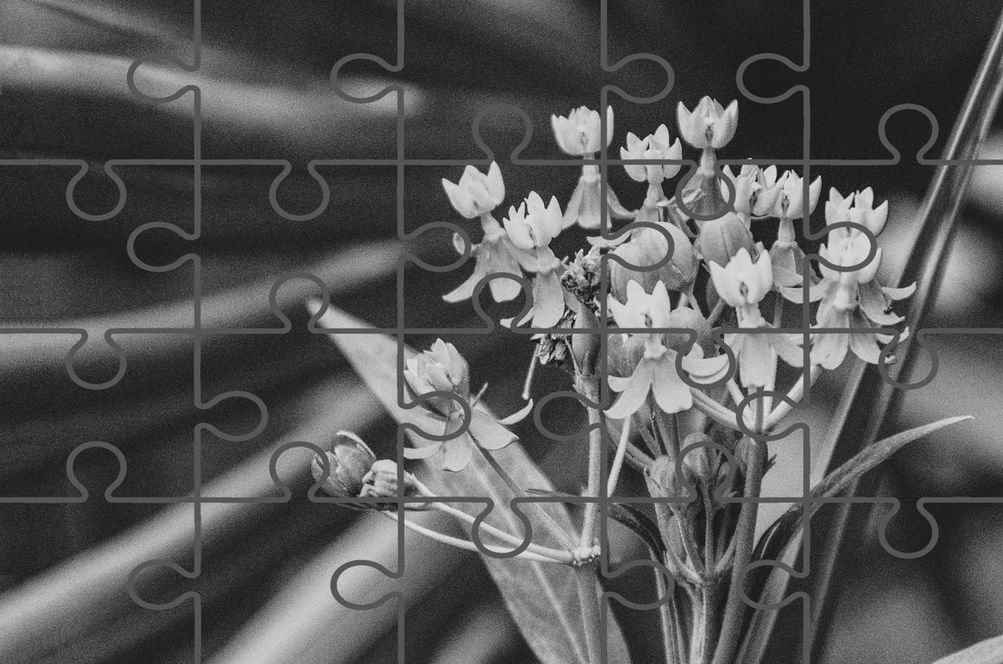 Bloodflowers and Palm Black and White Floral Photograph Digital Jigsaw Puzzle