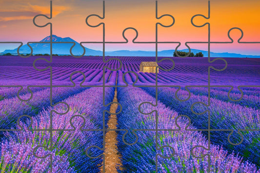 Blooming Lavender Field and Sunset Floral Photograph Digital Jigsaw Puzzle