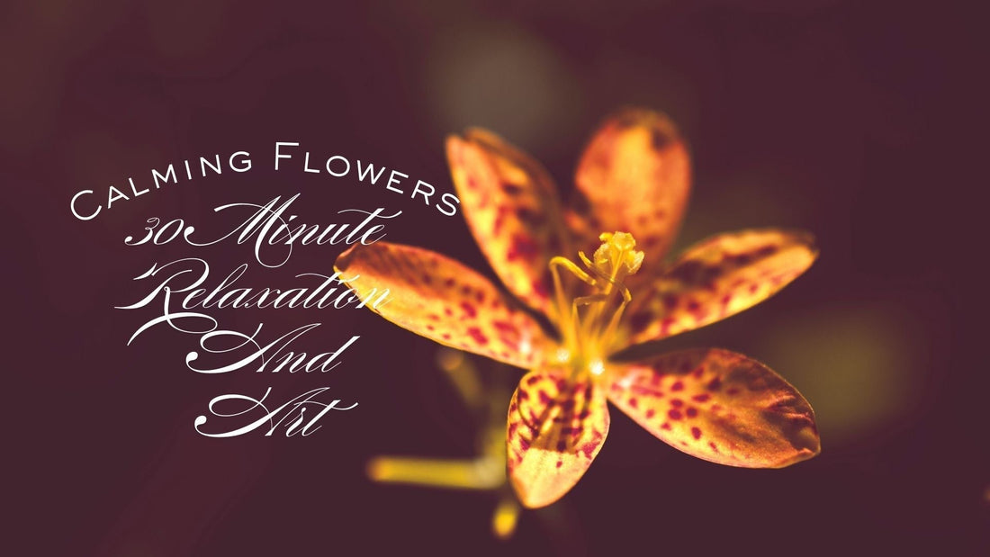 Calming Flowers: 30 Minute Relaxation And Art