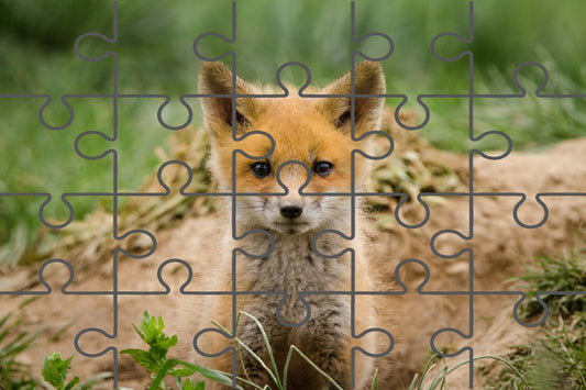 Baby Red Fox Coming Out Wildlife Photograph Digital Jigsaw Puzzle