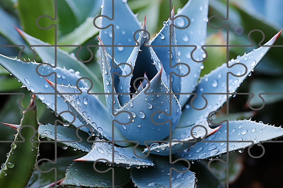Delicate Agave Photorealistic Digital Botanical Artwork Free Digital Puzzle