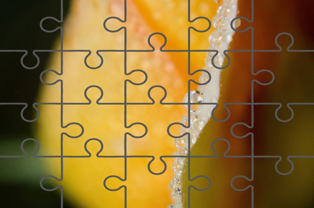 Dew on Yellow Rose Floral Botanical Nature Photograph Jigsaw puzzle Outline