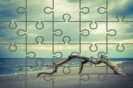 The Cove Botanical Coastal Landscape Photograph Free Online Jigsaw Puzzle