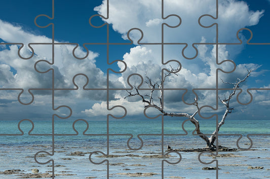 Wanderlust Traditional Color Coastal Landscape Photograph Free Online Jigsaw Puzzle