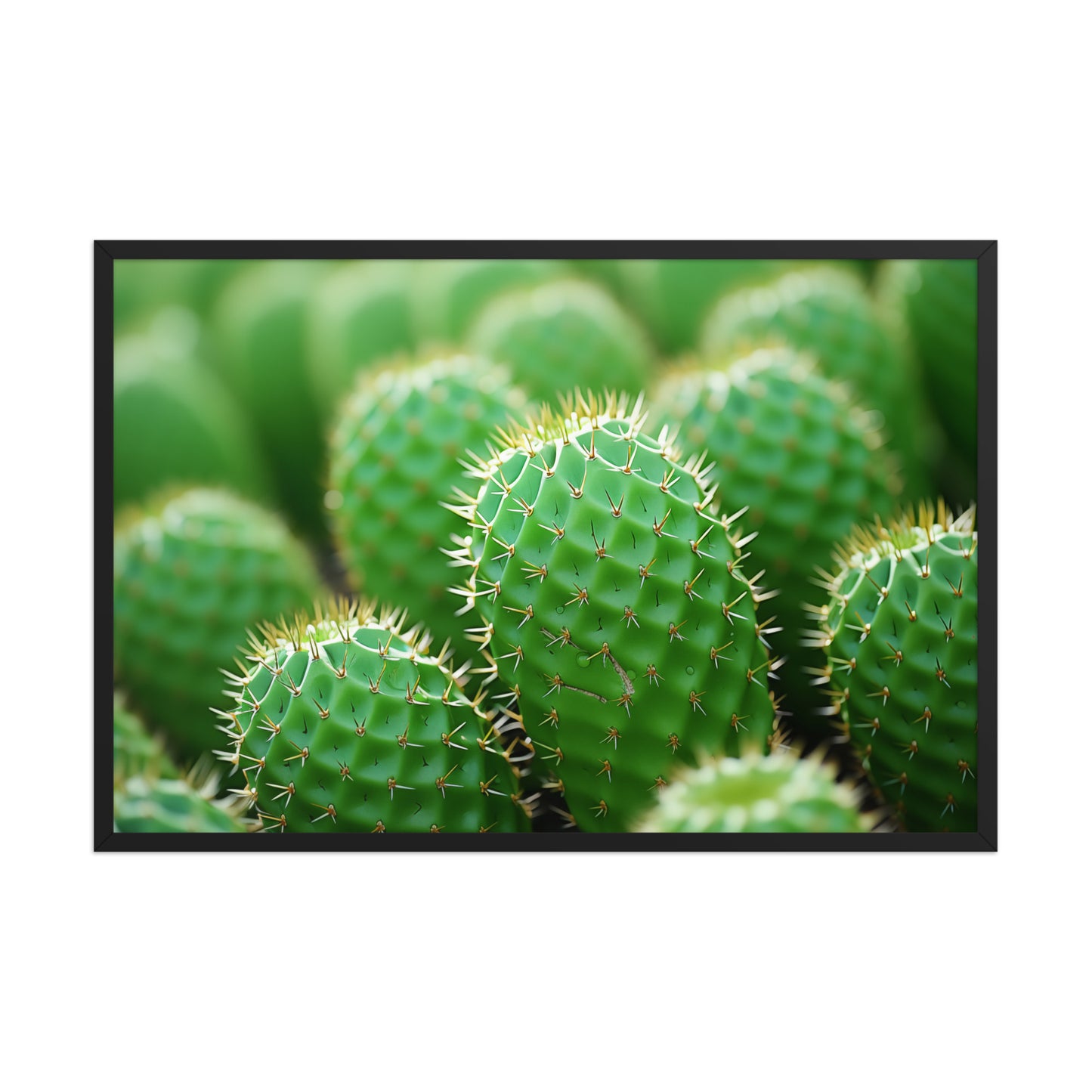 A Collection of Cacti Photorealistic Digital Artwork Large Framed Wall Art Print