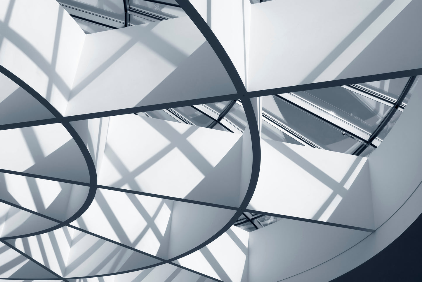 Architectural Wall Prints: Interwoven Lines Frameless Photograph Art Print