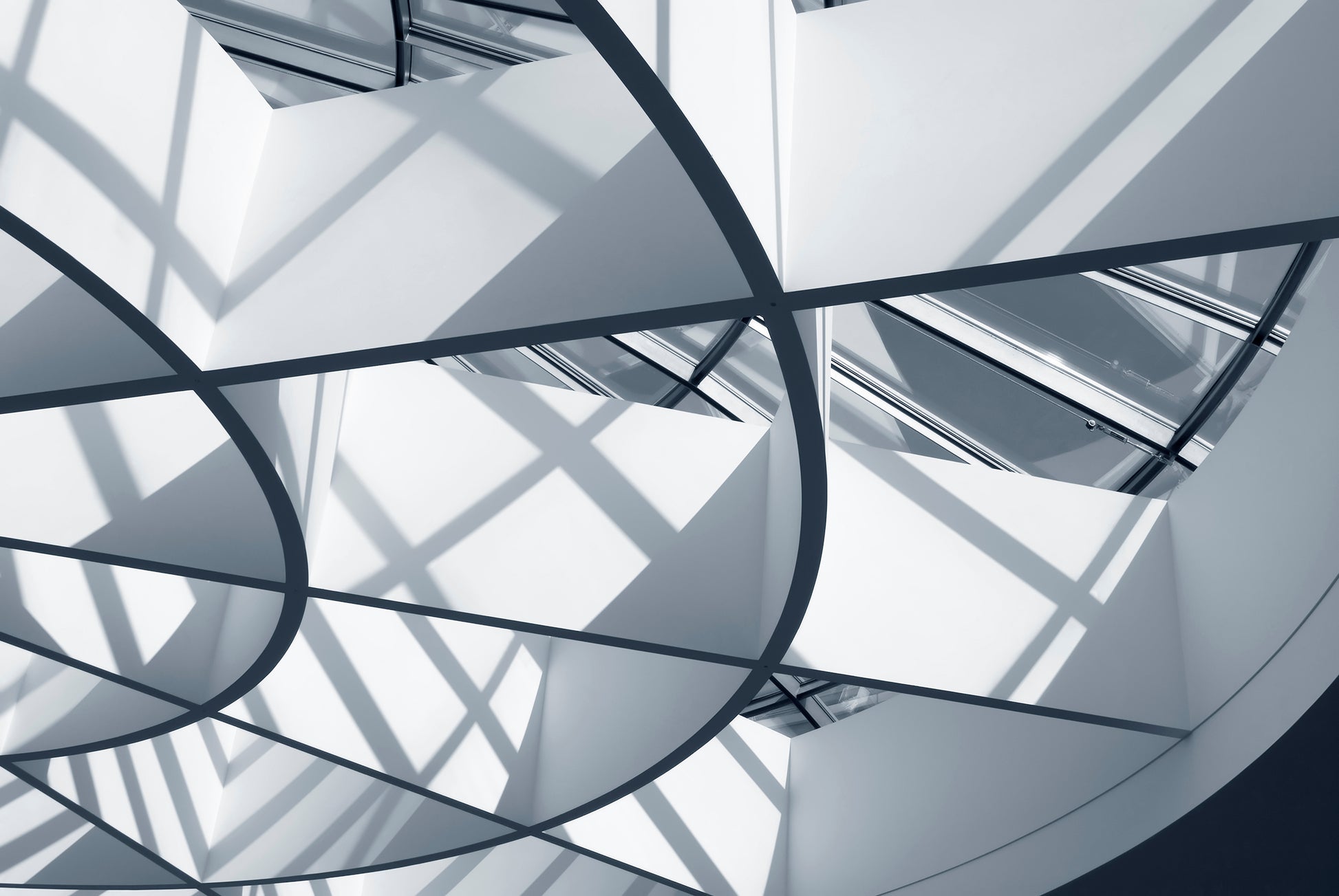 Architectural Wall Prints: Interwoven Lines Frameless Photograph Art Print