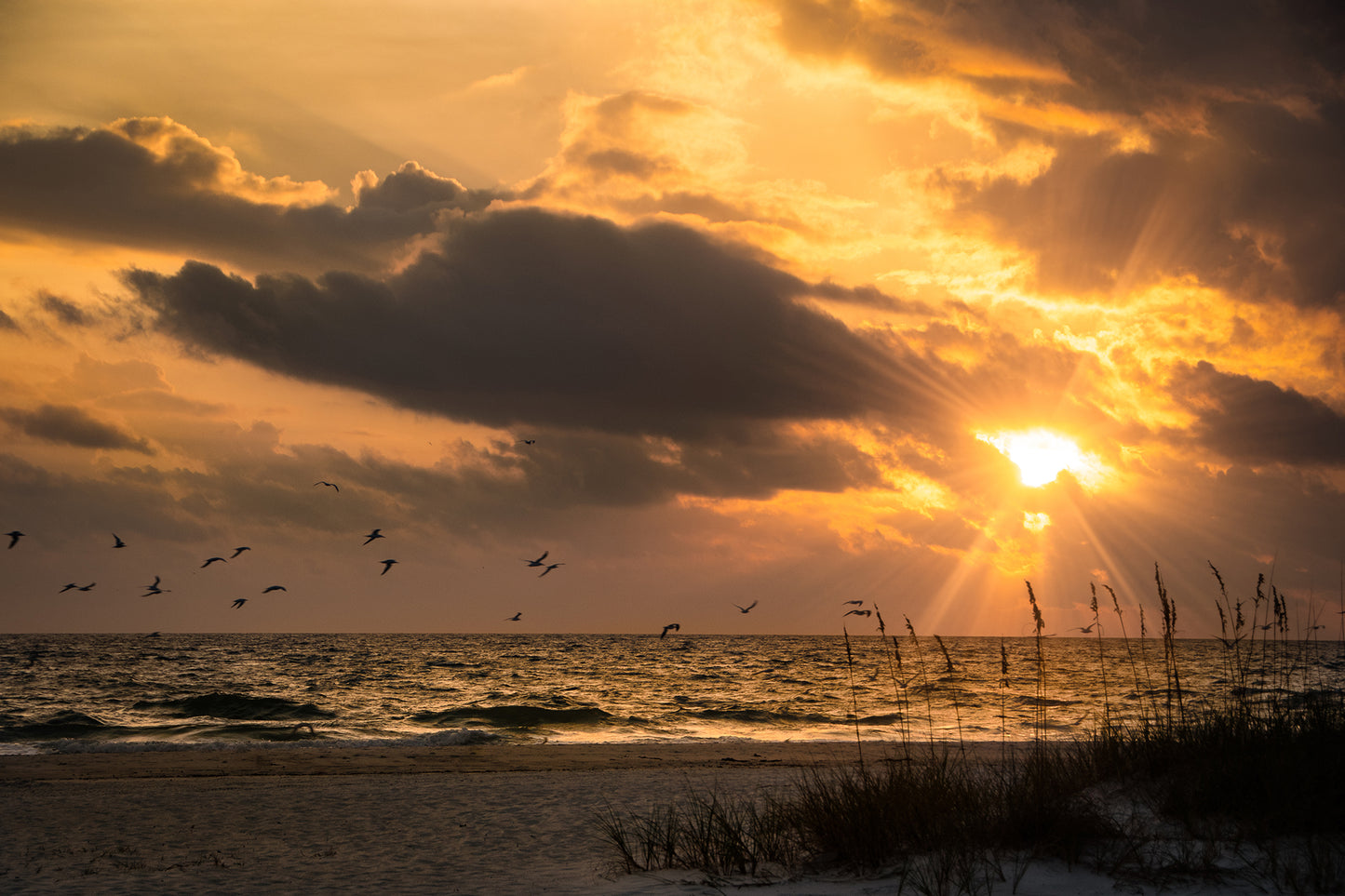 Large Office Wall Decor: Anna Maria Island Cloudy Beach Sunset 1 - Coastal / Beach / Seascape / Nature / Landscape Photo Framed Wall Art Print - Artwork