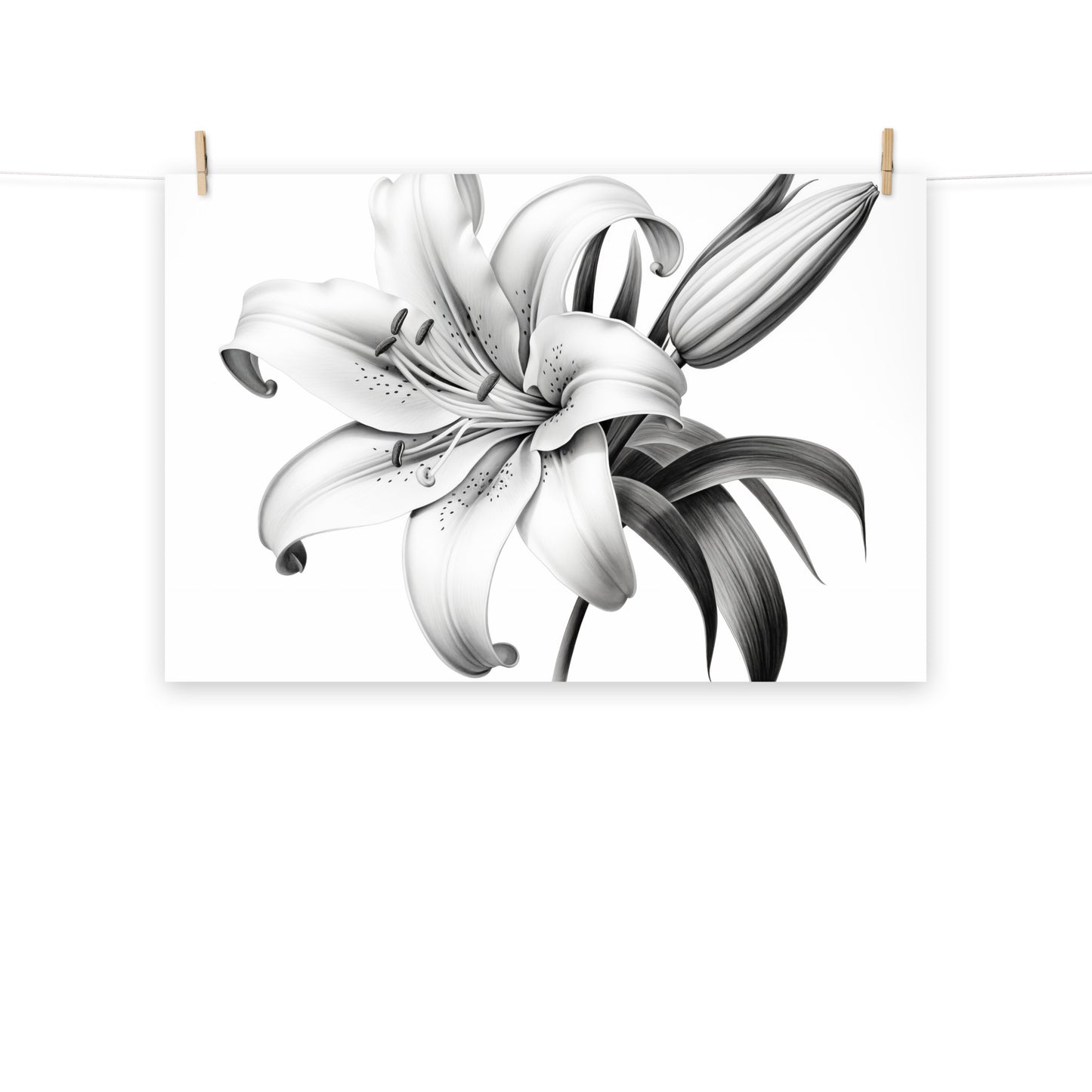 Art Lilies: A Moment of Bloom Pencil Sketch Charcoal Drawing Digital Artwork Loose Art Print