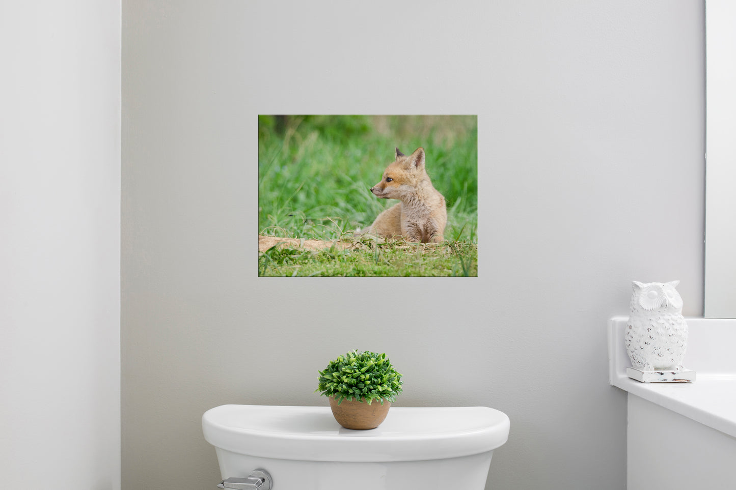 Baby Red Fox Chillin Wildlife Photo DIY Wall Decor Instant Download Print - Printable