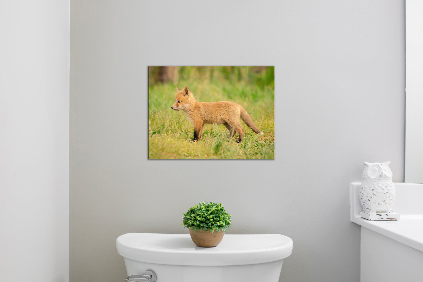 Baby Red Fox Daydreaming Wildlife Photo DIY Wall Decor Instant Download Print - Printable