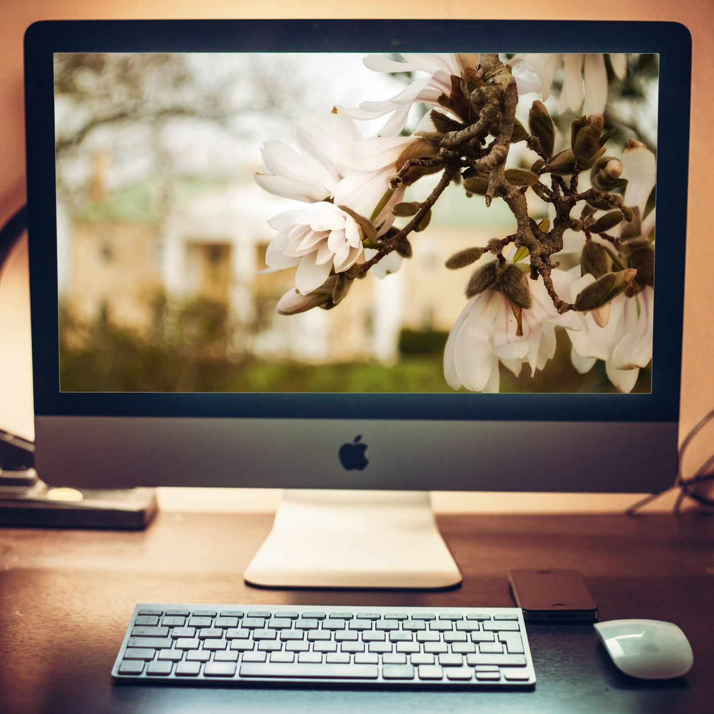 Bellevue Mansion Floral Botanical Nature Photograph Wallpaper for Computer 2