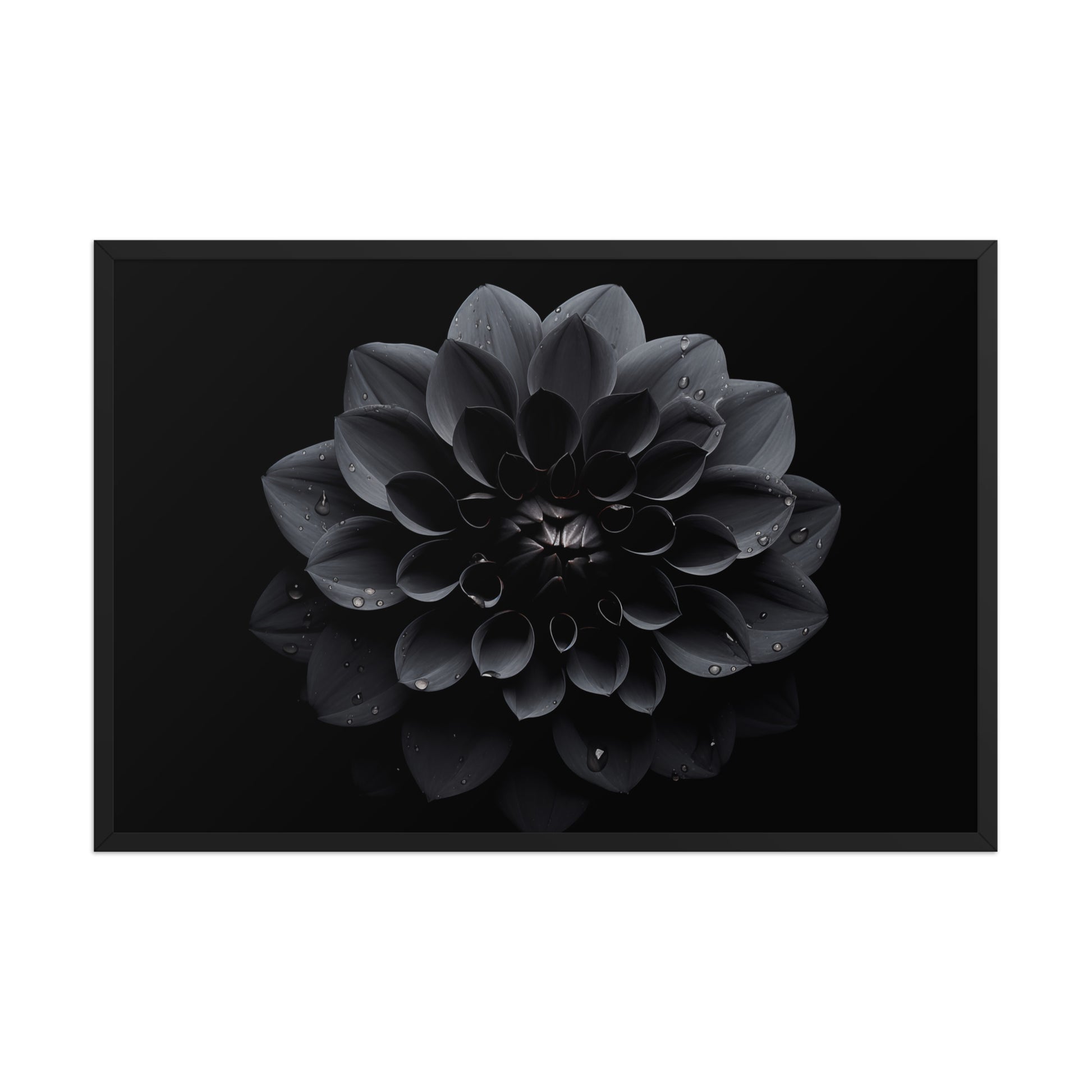 Black Beauty Black Flowers Photorealistic Digital Floral Artwork Framed Wall Art Prints