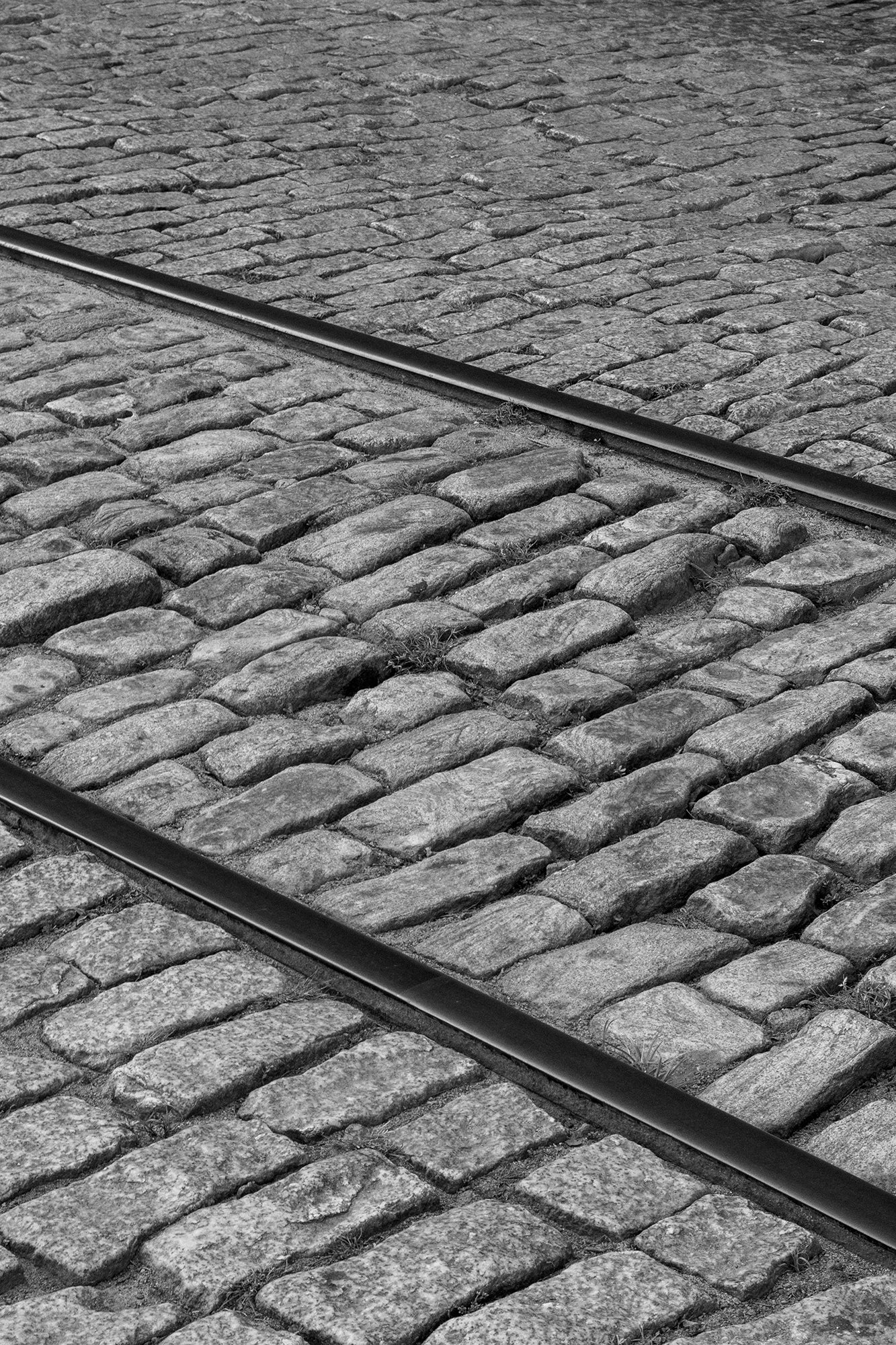Black and White Train Tracks Cobblestone River Street Savannah Ga Loose Wall Art Print