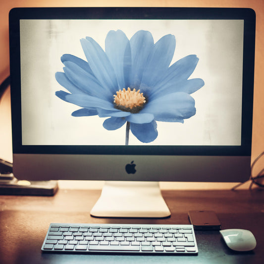 Blue Pastel Perfection Floral Digital Watercolor Painting Wallpaper for Computer 2