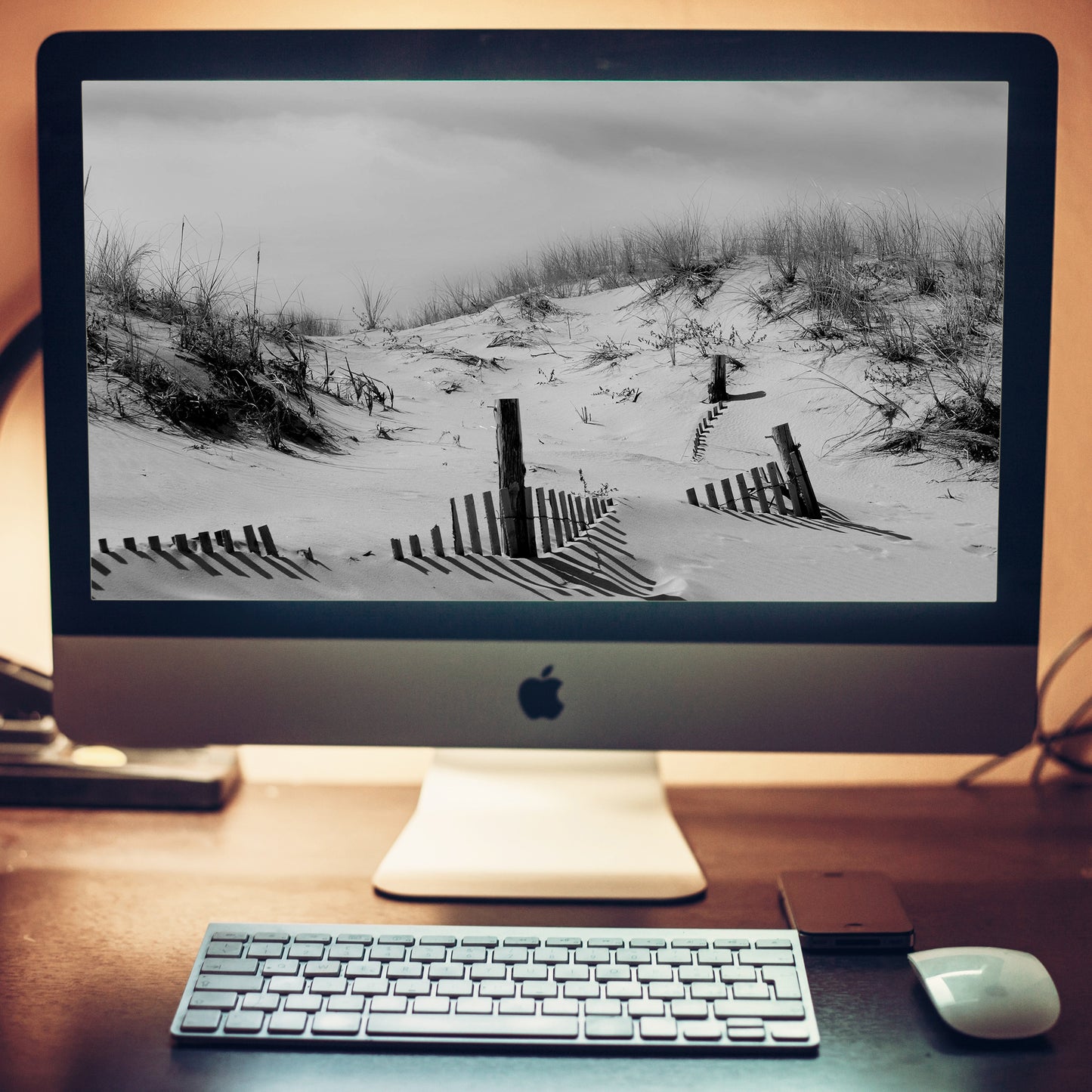 Buried Fences Coastal Landscape Photograph Wallpaper for Computer 2