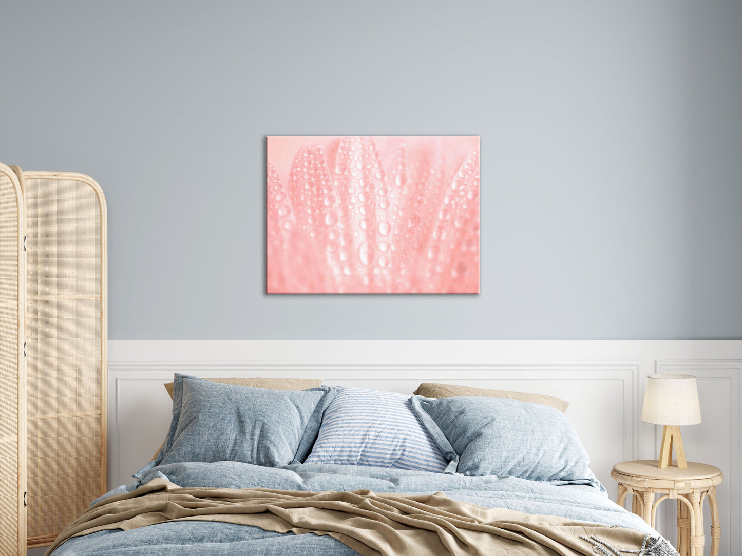 Wayfair Floral Wall Art: Close-Up Pink Daisy Floral Botanical Photograph Shabby Chic - Vintage Canvas Wall Art Print