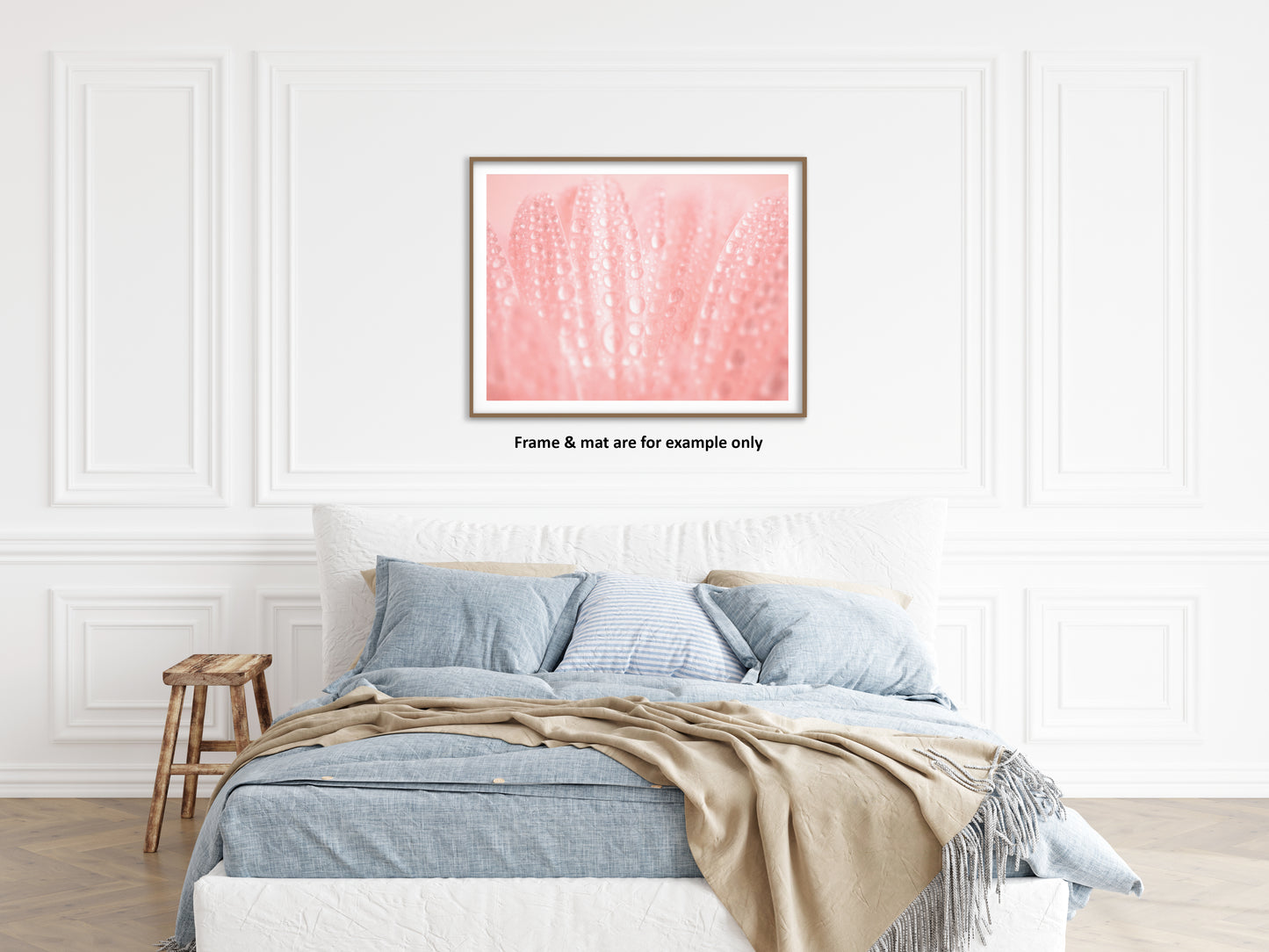 Soothing Art For Bedroom: Serenity Close-up Pink Daisy Floral Botanical Photograph Shabby Chic - Vintage Loose / Unframed Wall Art print