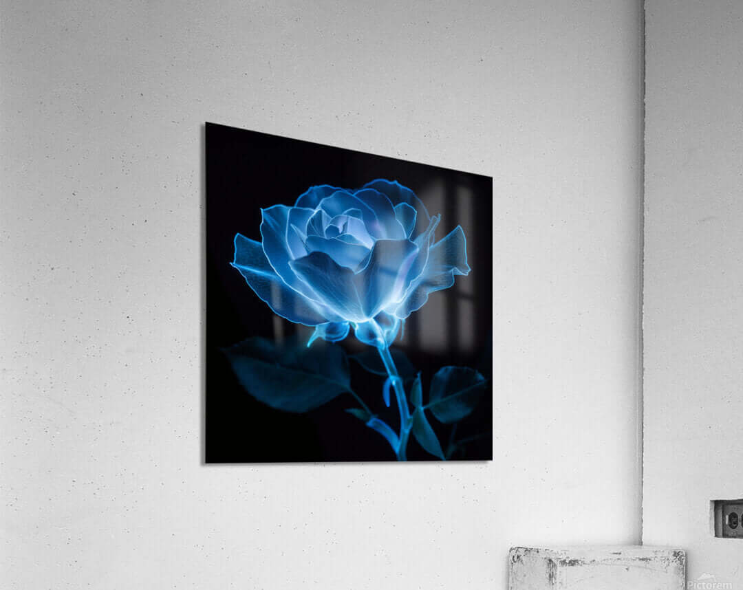 DOWNLOADABLE / PRINTABLE Botanical / Floral / Minimal Modern Digital Artwork Ethereal Embrace Bioluminescent Rose on Black Size up to 40x60
