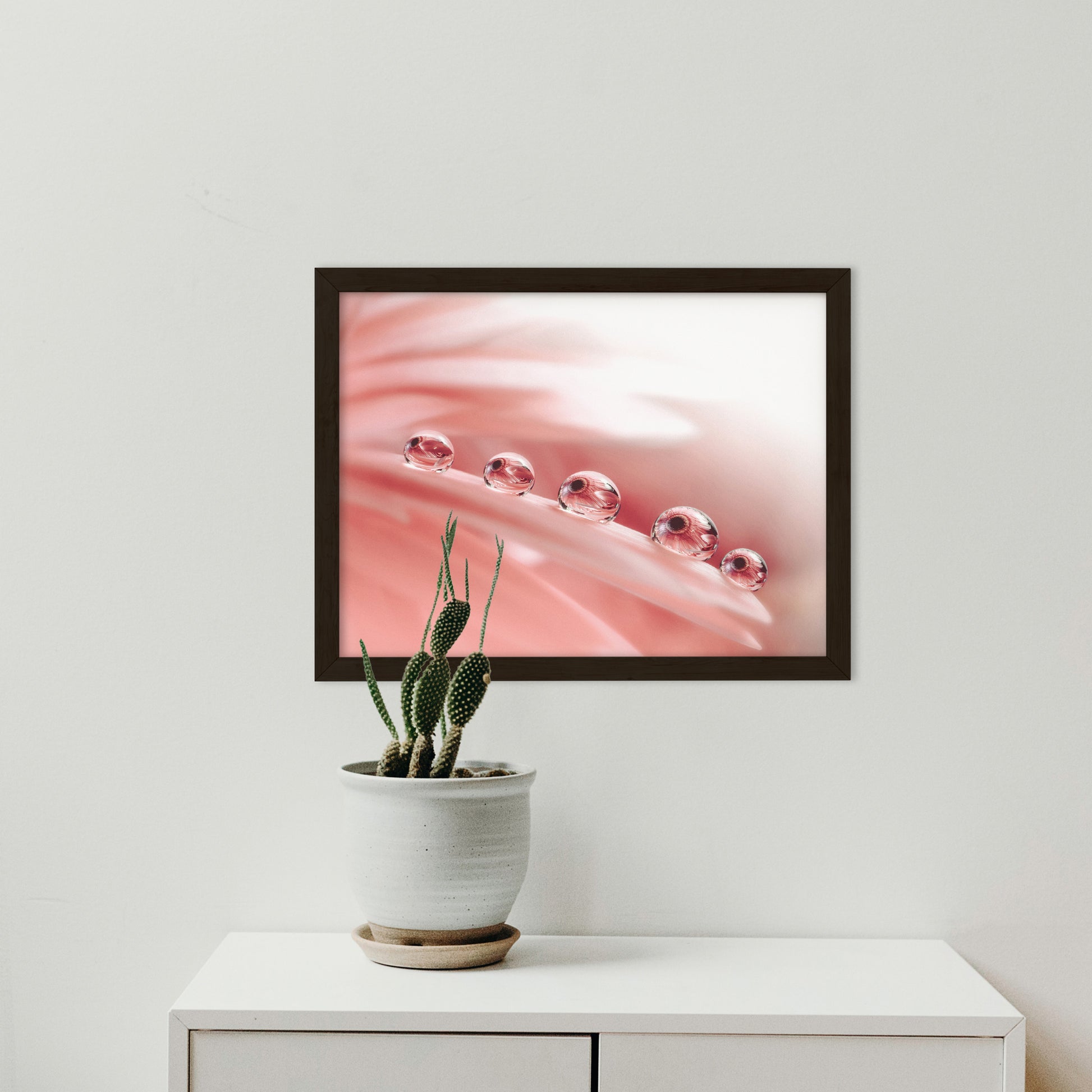 Black Framed Floral Wall Art: Dew Drops on Gerbera Daisy Petals Floral Botanical Photograph Shabby Chic - Vintage Framed Wall Art Print