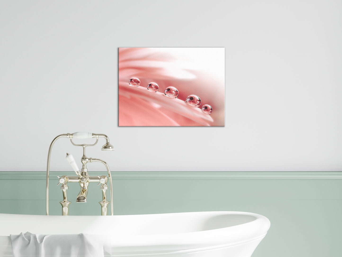 Bathroom Art On Canvas: Dew Drops on Gerbera Daisy Petals Floral Botanical Photograph Shabby Chic - Vintage Canvas Wall Art Print