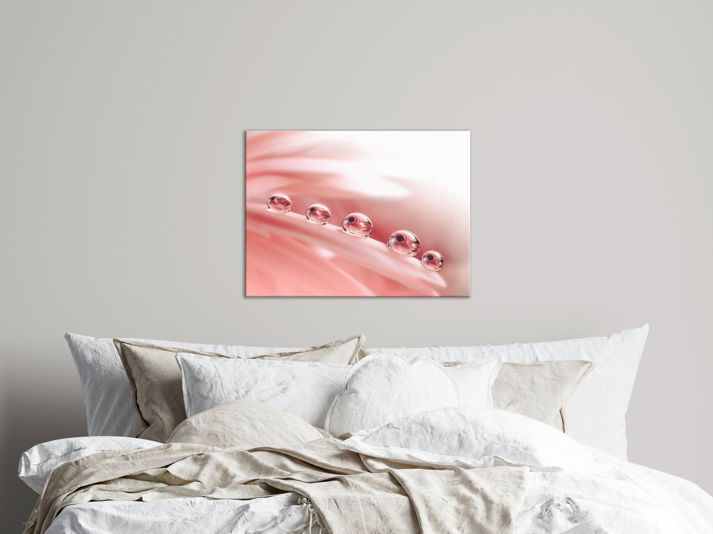 Soothing Bedroom Art: Dew Drops on Gerbera Daisy Petals Floral Botanical Photograph Shabby Chic - Vintage Canvas Wall Art Print