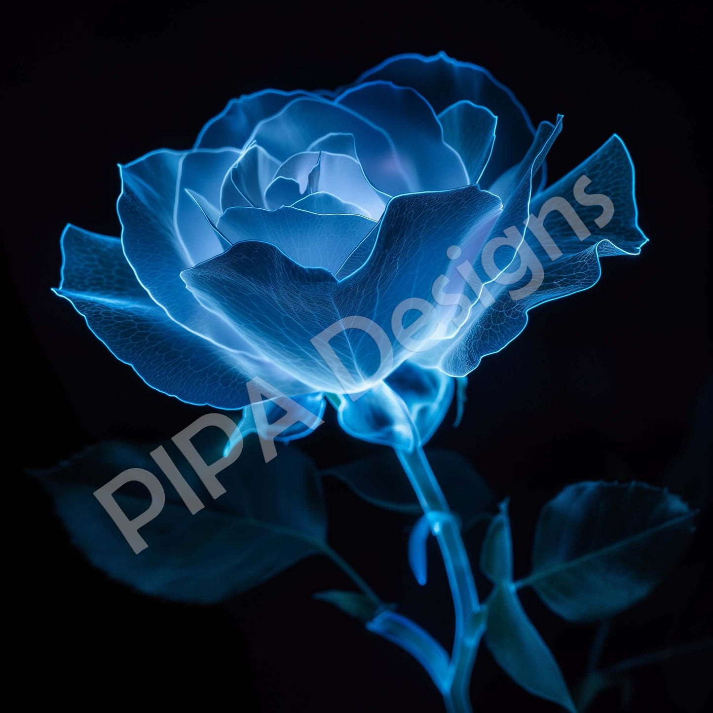 DOWNLOADABLE / PRINTABLE Botanical / Floral / Minimal Modern Digital Artwork Ethereal Embrace Bioluminescent Rose on Black Size up to 40x60