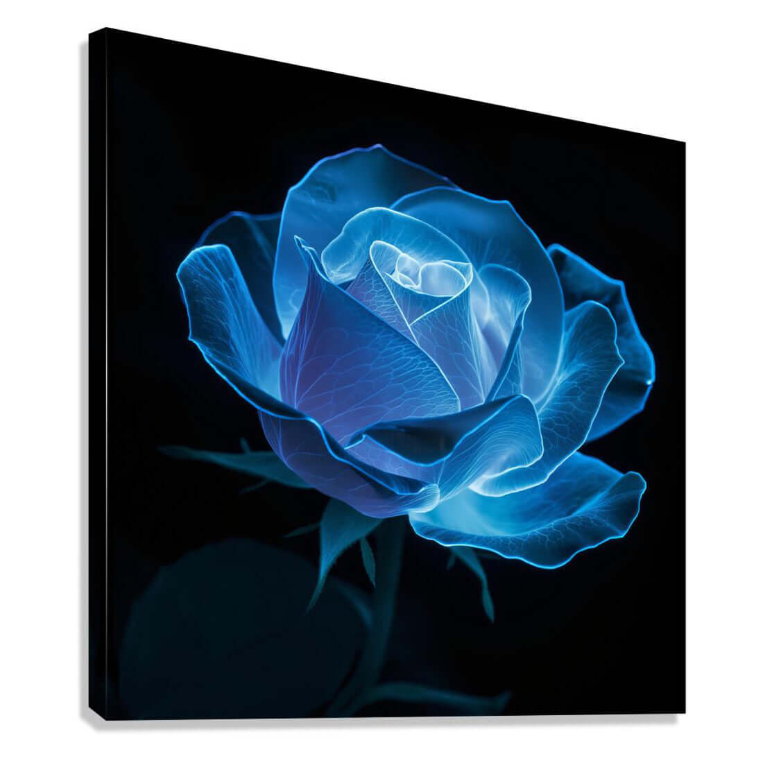 Floral Sophistication Bioluminescent Rose on Black Background Downloadable / Printable Digital Artwork