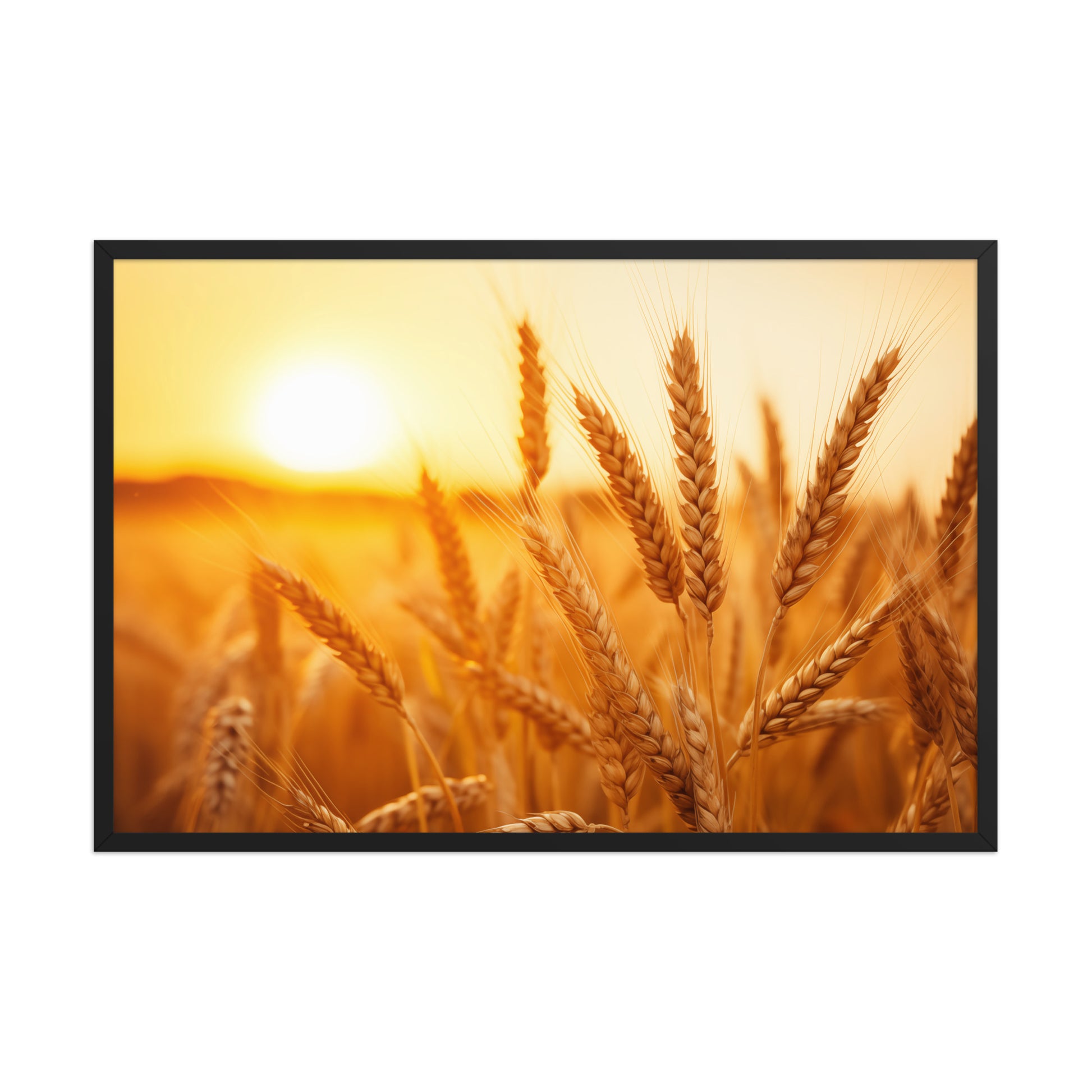 Golden Hour Harvest Minimal Botanical  Rustic Subdued Wheat Crops Photorealistic Digital Artwork Framed Wall Art Prints