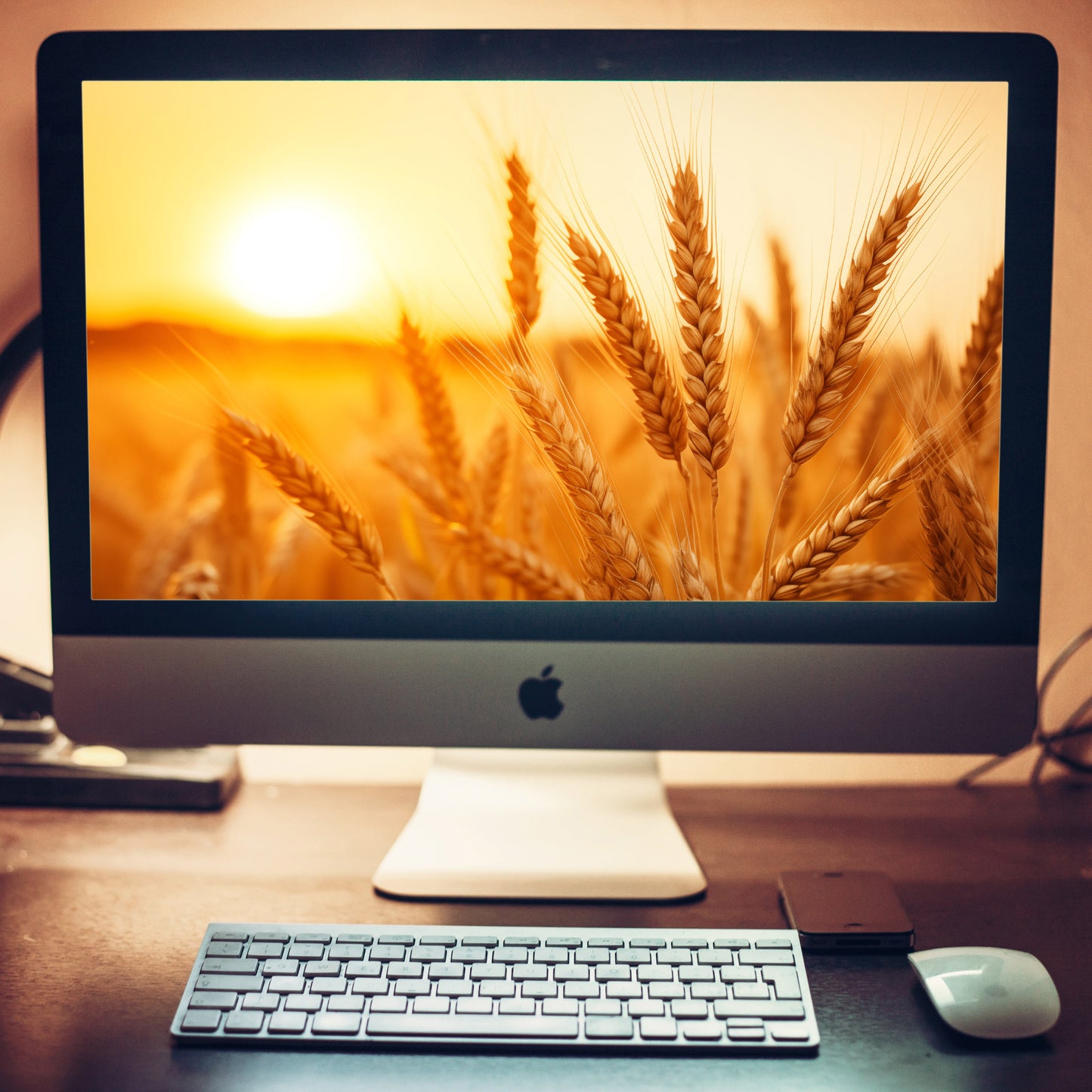 Golden Hour Harvest Minimal Botanical Rustic Subdued Wheat Crops Photorealistic Digital Artwork Wallpaper for Computer 2