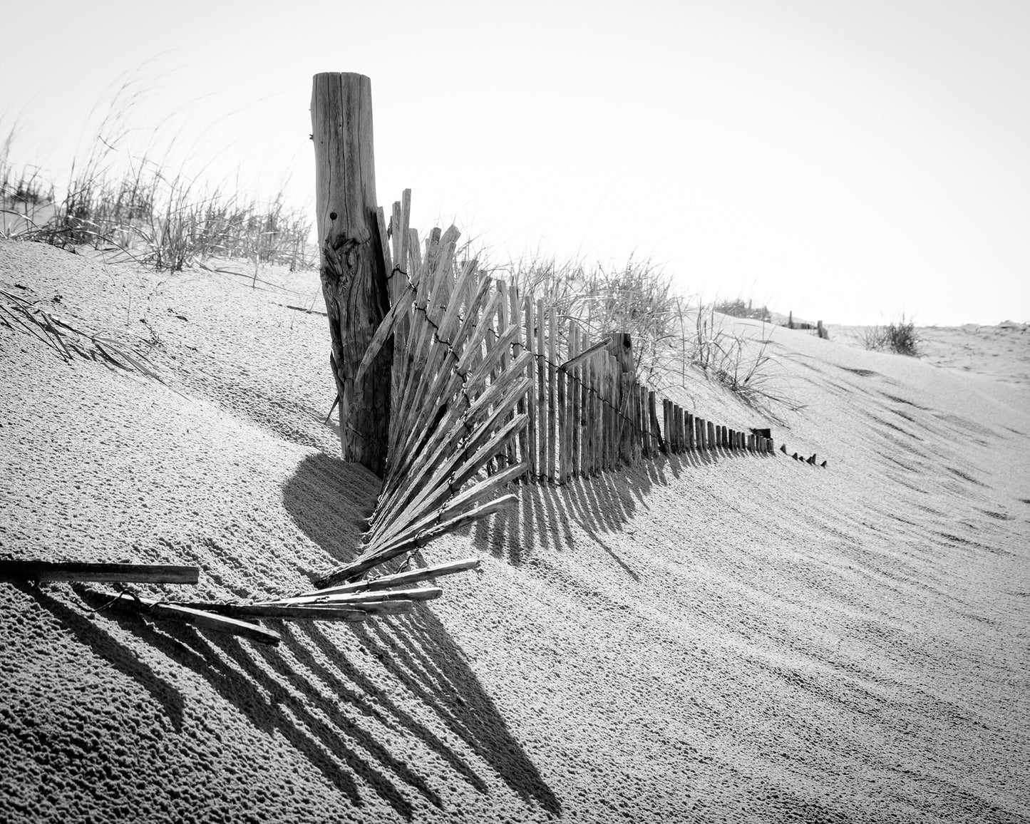 High Key Dunes Coastal Landscape Framed Photo Paper Wall Art Prints