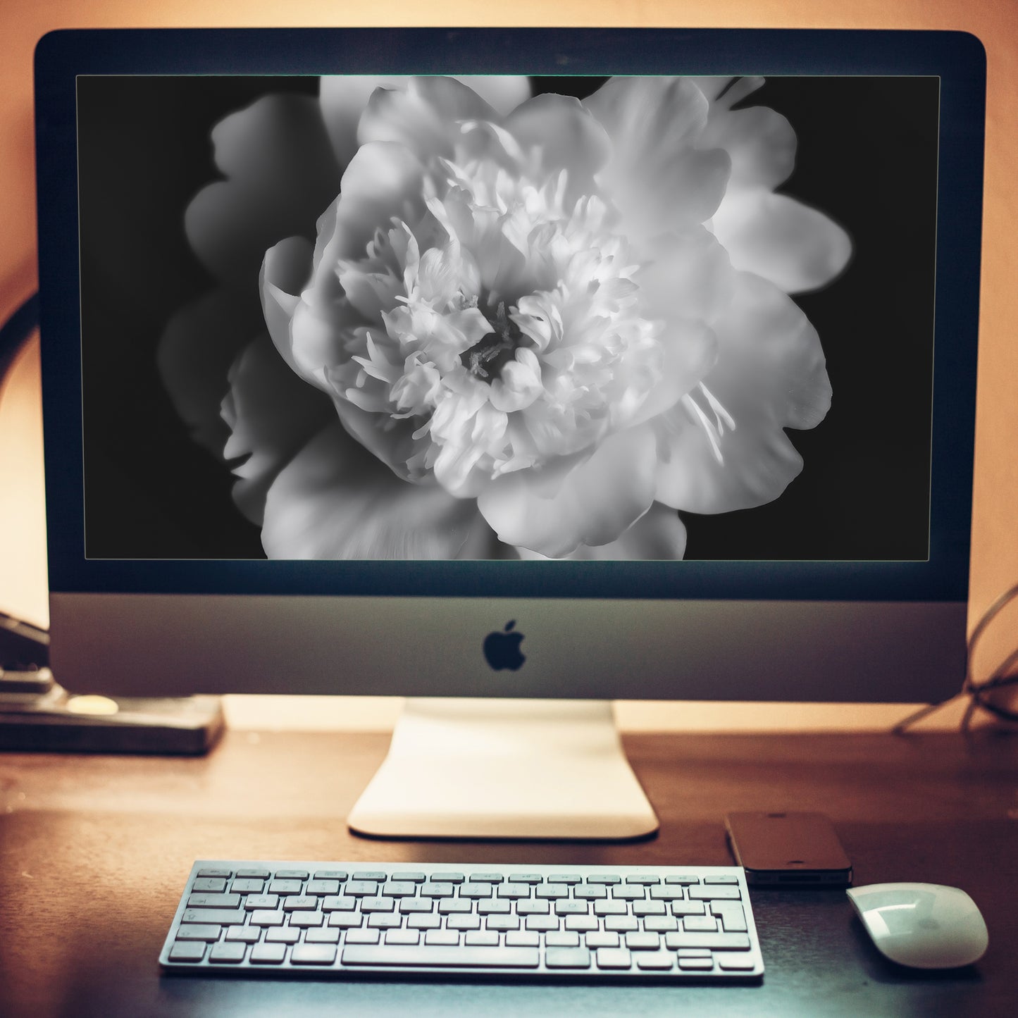 Lingering Fragrance Floral Photorealistic Digital Artwork Peonies Wallpaper for Computer Monitors Smart TVs and Laptop Screens 2