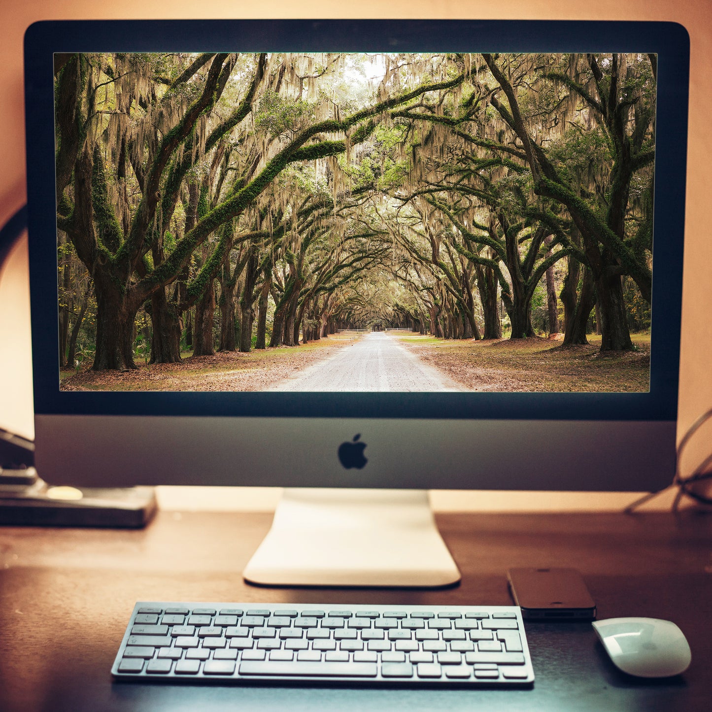 Live Oaks and Spanish Moss Road Way Savannah Ga Landscape Photograph Wallpaper for Computer 2