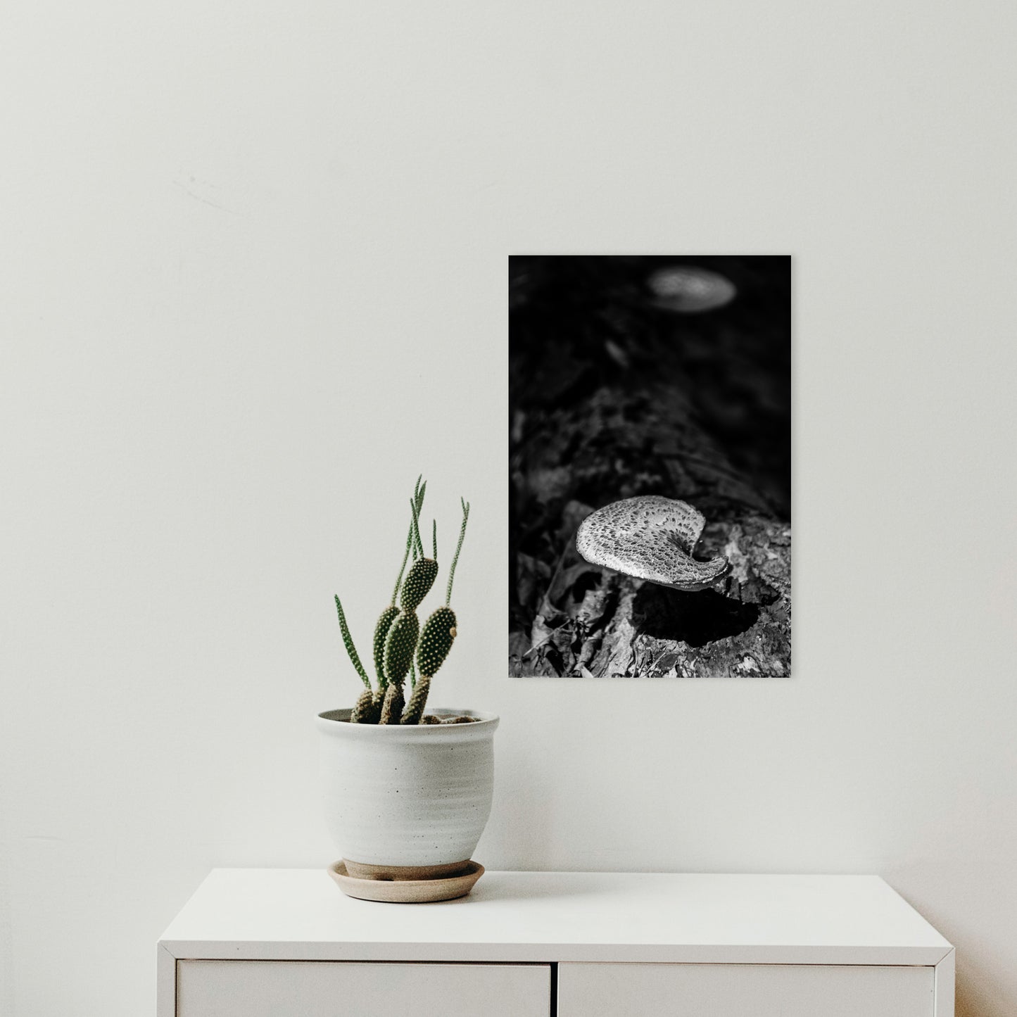 Vintage Farmhouse Art: Mushroom on Log Black and White - Botanical / Plant / Nature Photograph Loose / Unframed / Frameable / Frameless Wall Art Print - Artwork