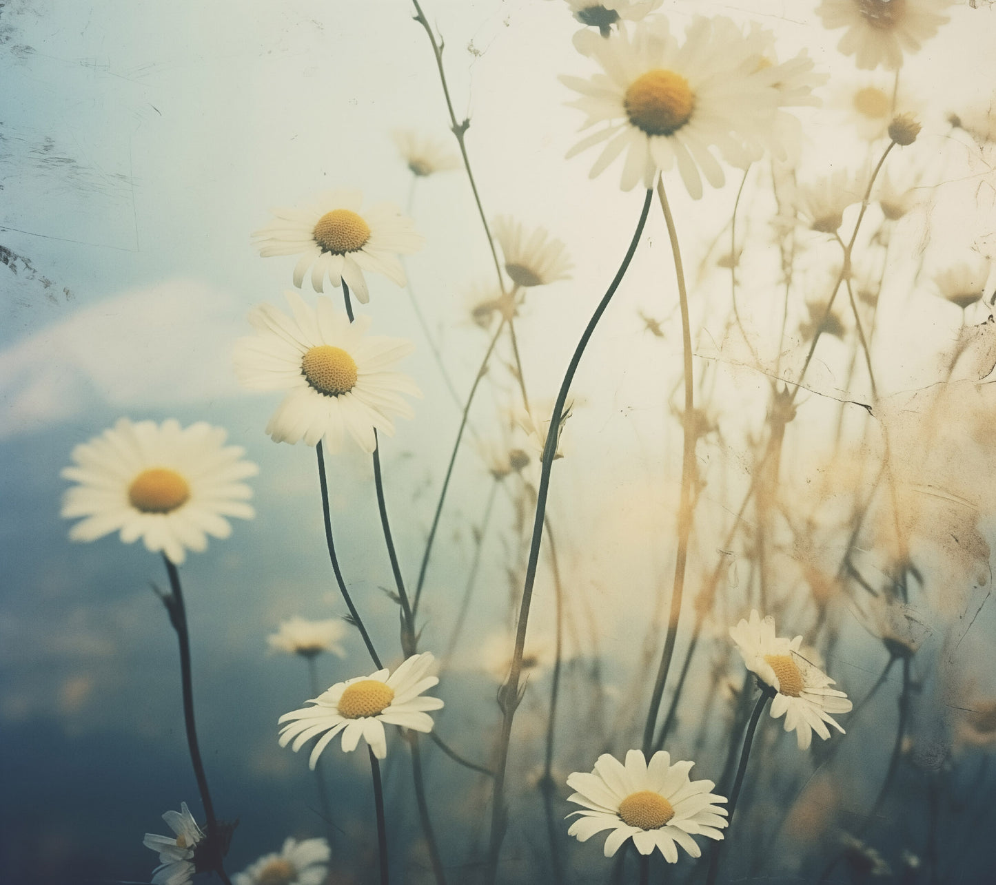 Nature's Simplicity Vintage Subdued Retro Photorealism - Digital Artwork Loose Art Print