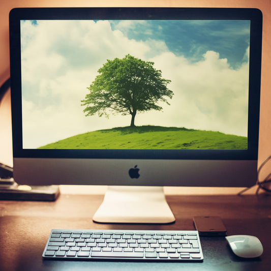 Nature's Majesty Minimal Botanical Retro Subdued Photorealistic Digital Artwork Wallpaper for Computer 2