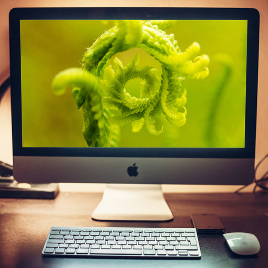 Natures perfection Nature Photography Wallpaper for Computer 2