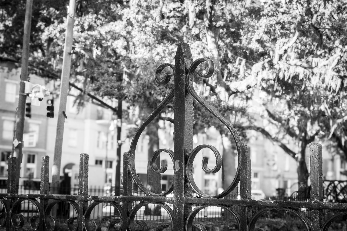 Architectural / Industrial / Cityscape Abstract Decor Old Wrought Iron Fence Gate Savannah Ga 2 Loose Wall Art Print